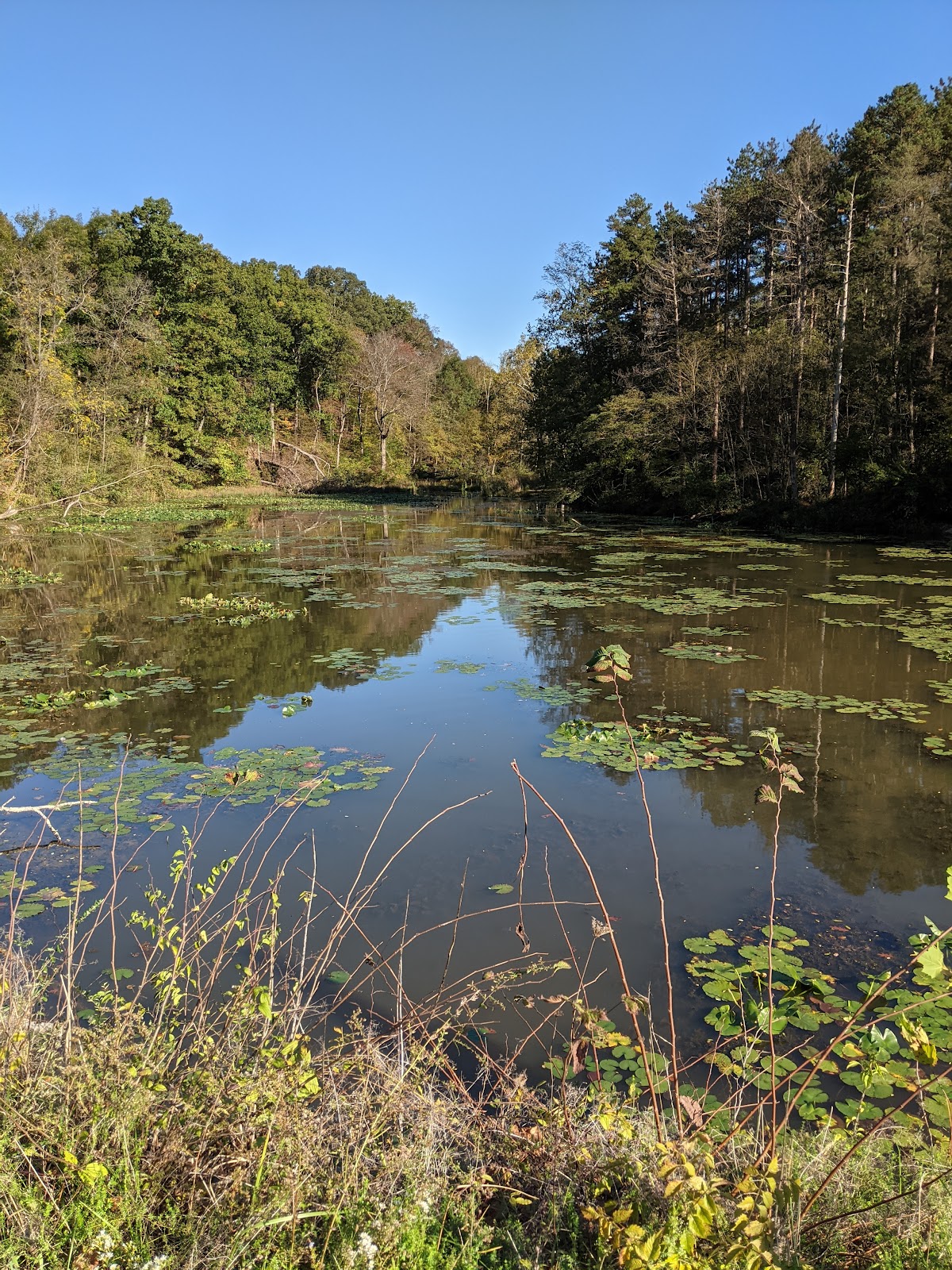 Blue Rock State Park