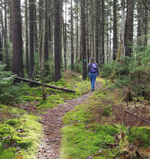 Monongahela National Forest