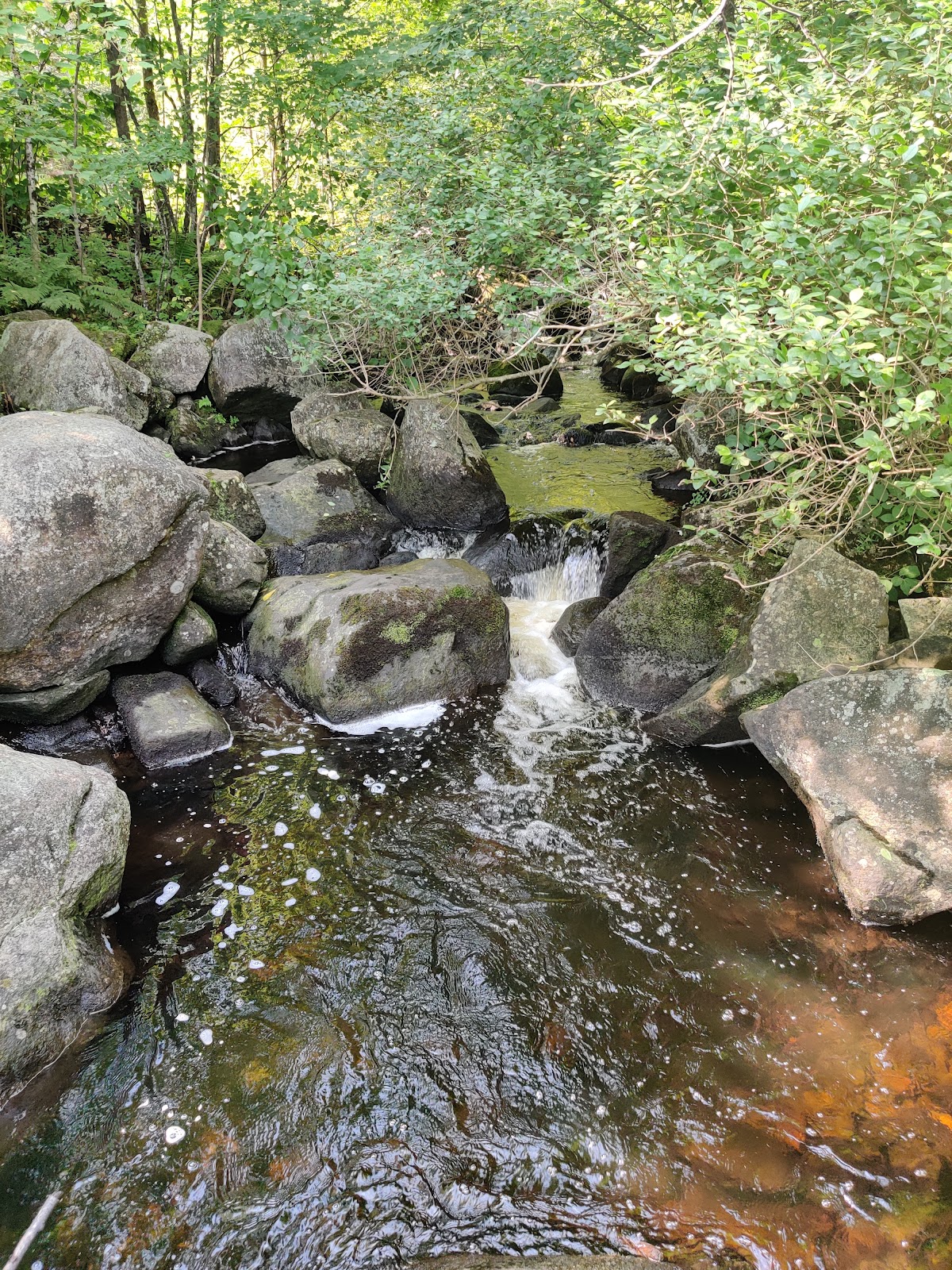 Stillwater State Park