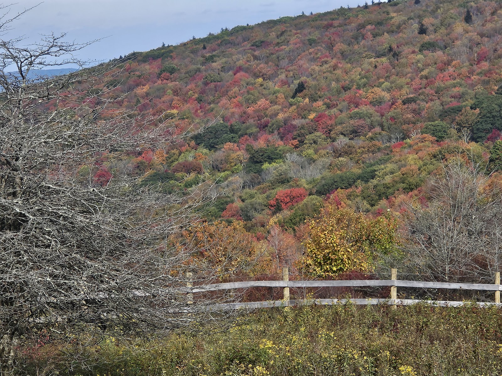 Fox Creek Horse Campground