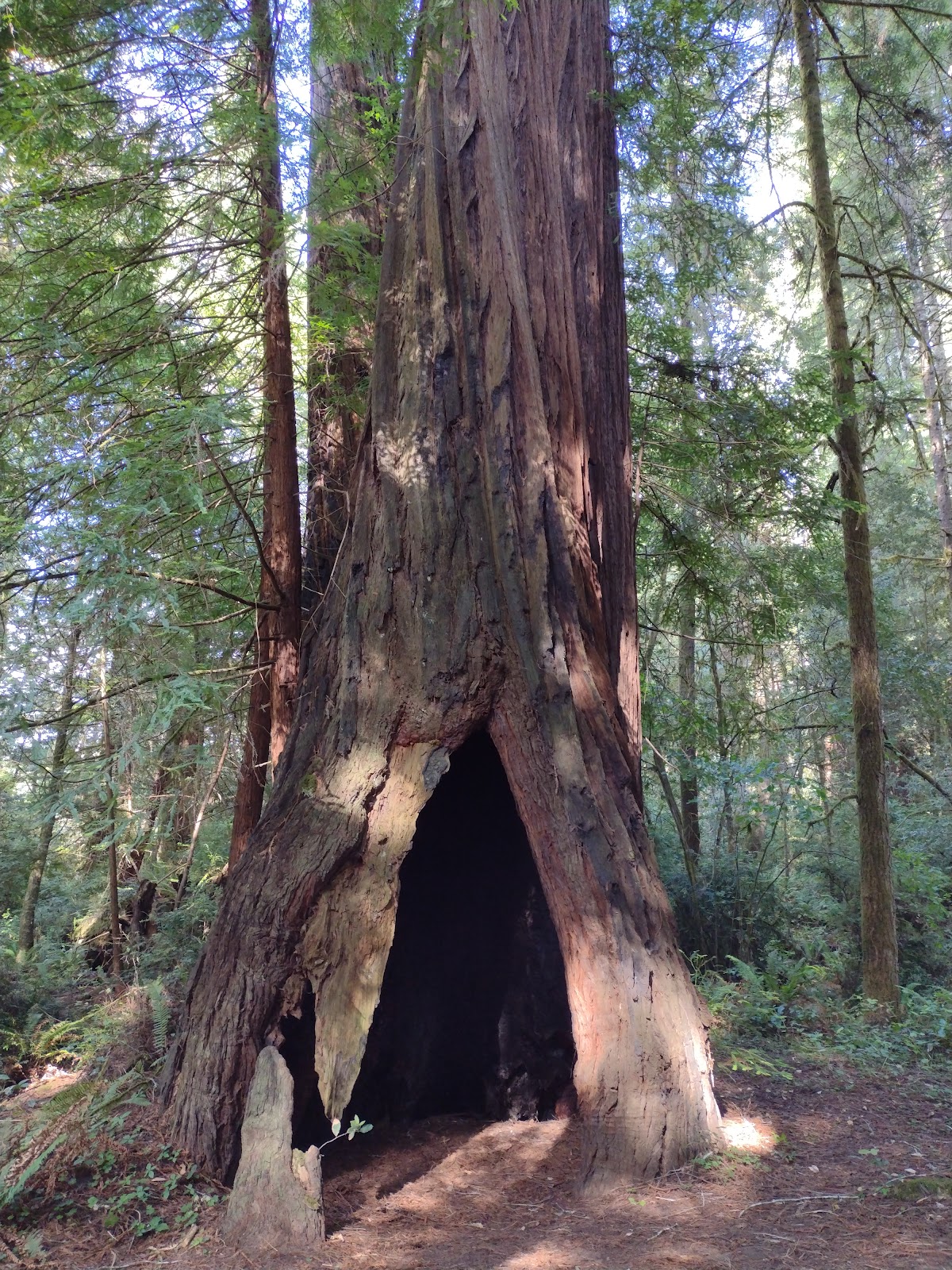 Van Duzen County Park