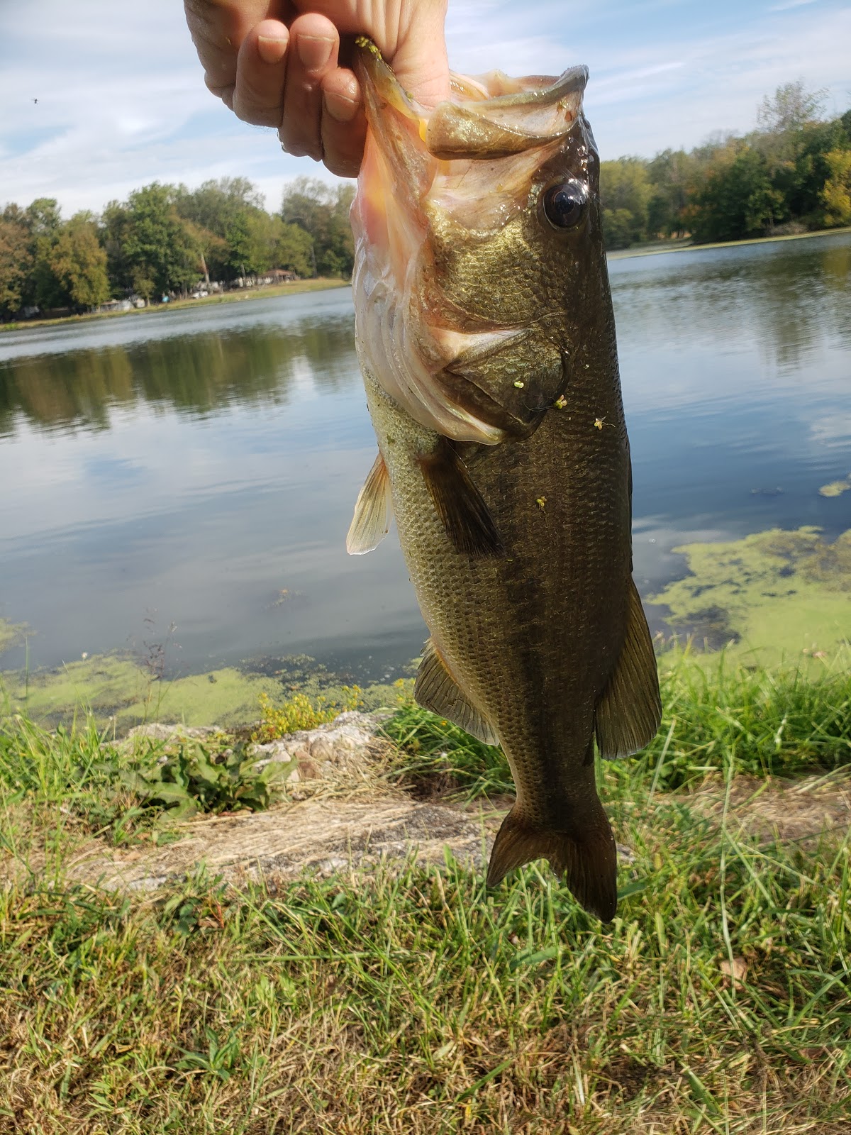 Manlove Park Camping