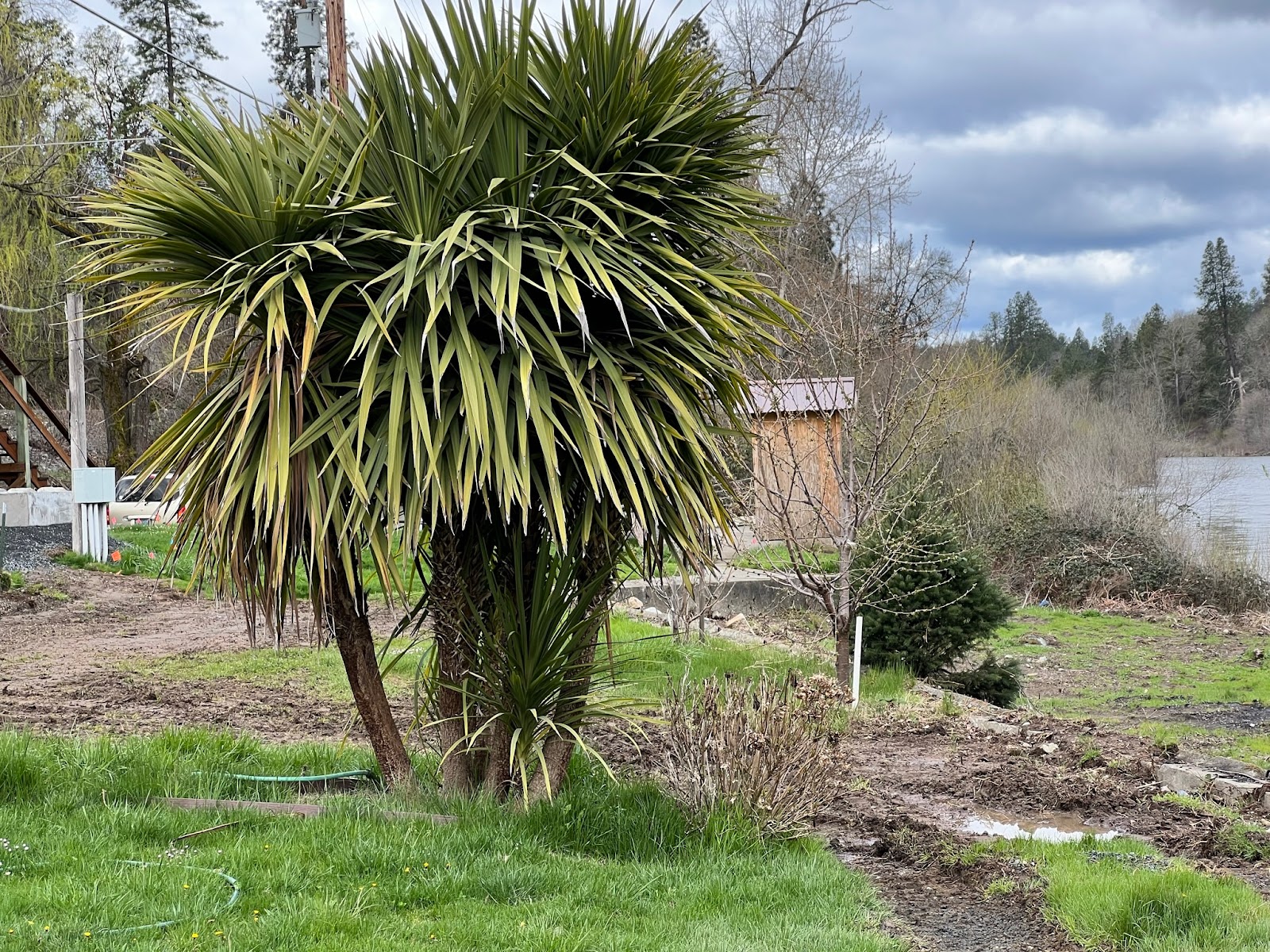 Have-A-Nice-Day Campground