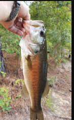 Candy Mountain RV Park & Campground