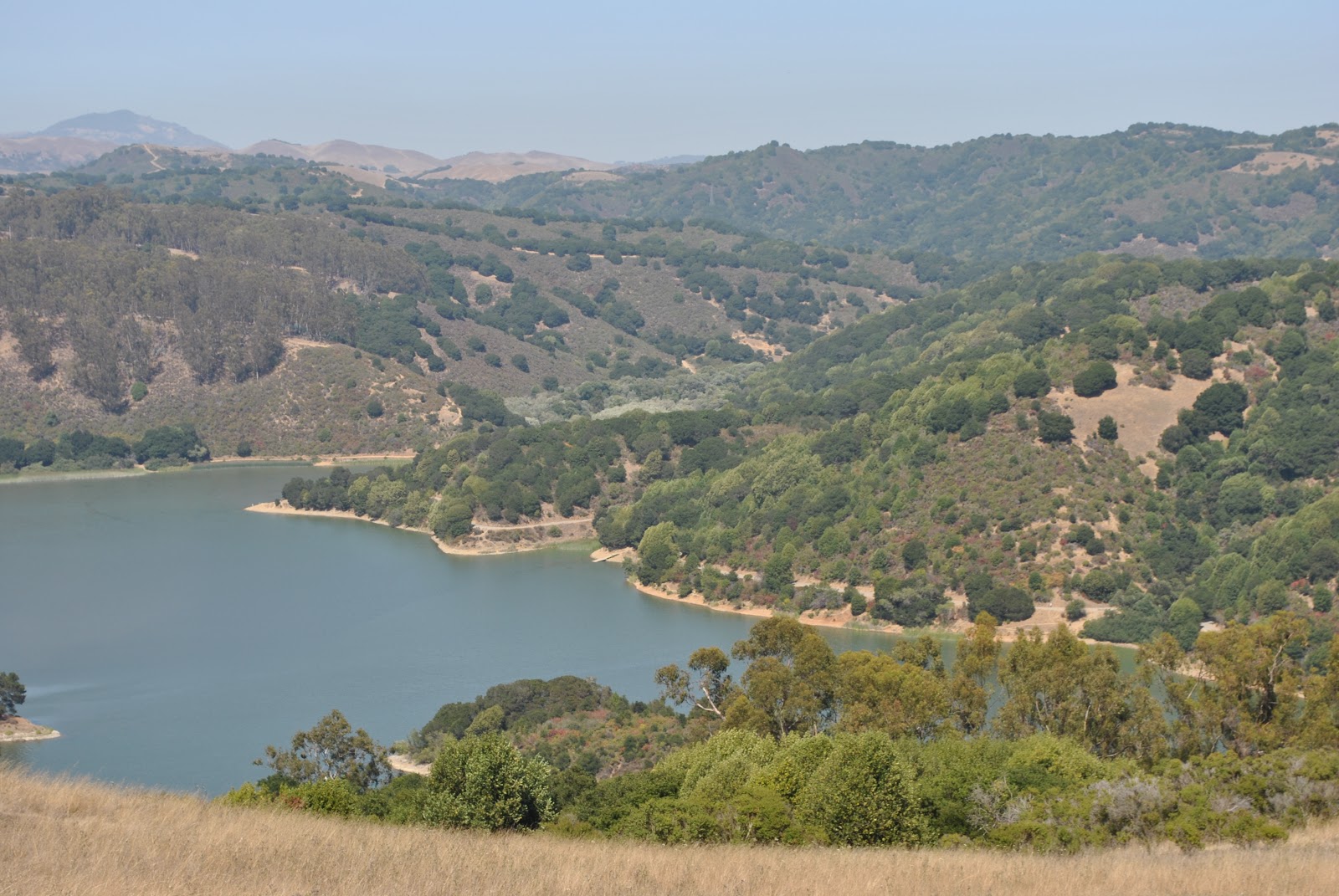 Anthony Chabot Regional Park Camping