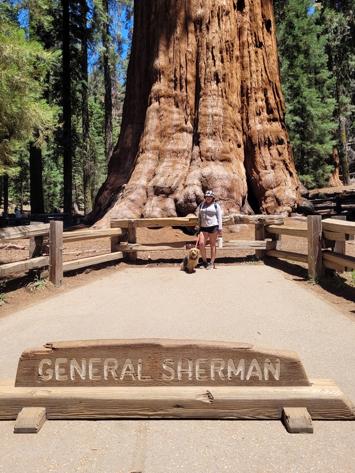 Sunset Campground - Kings Canyon National Park