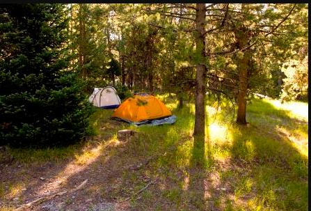 Colter Bay Campground