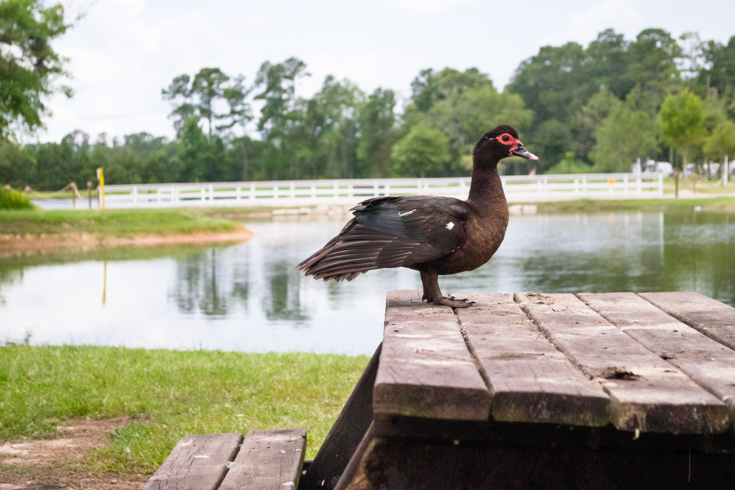 Little Lake Charles RV Resort