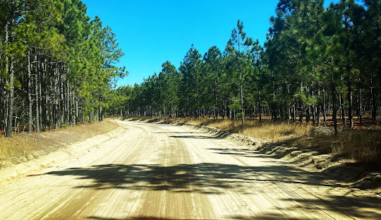 H. Cooper Black Camping