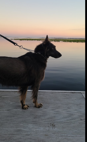 Lake Arbuckle County Park and Campground
