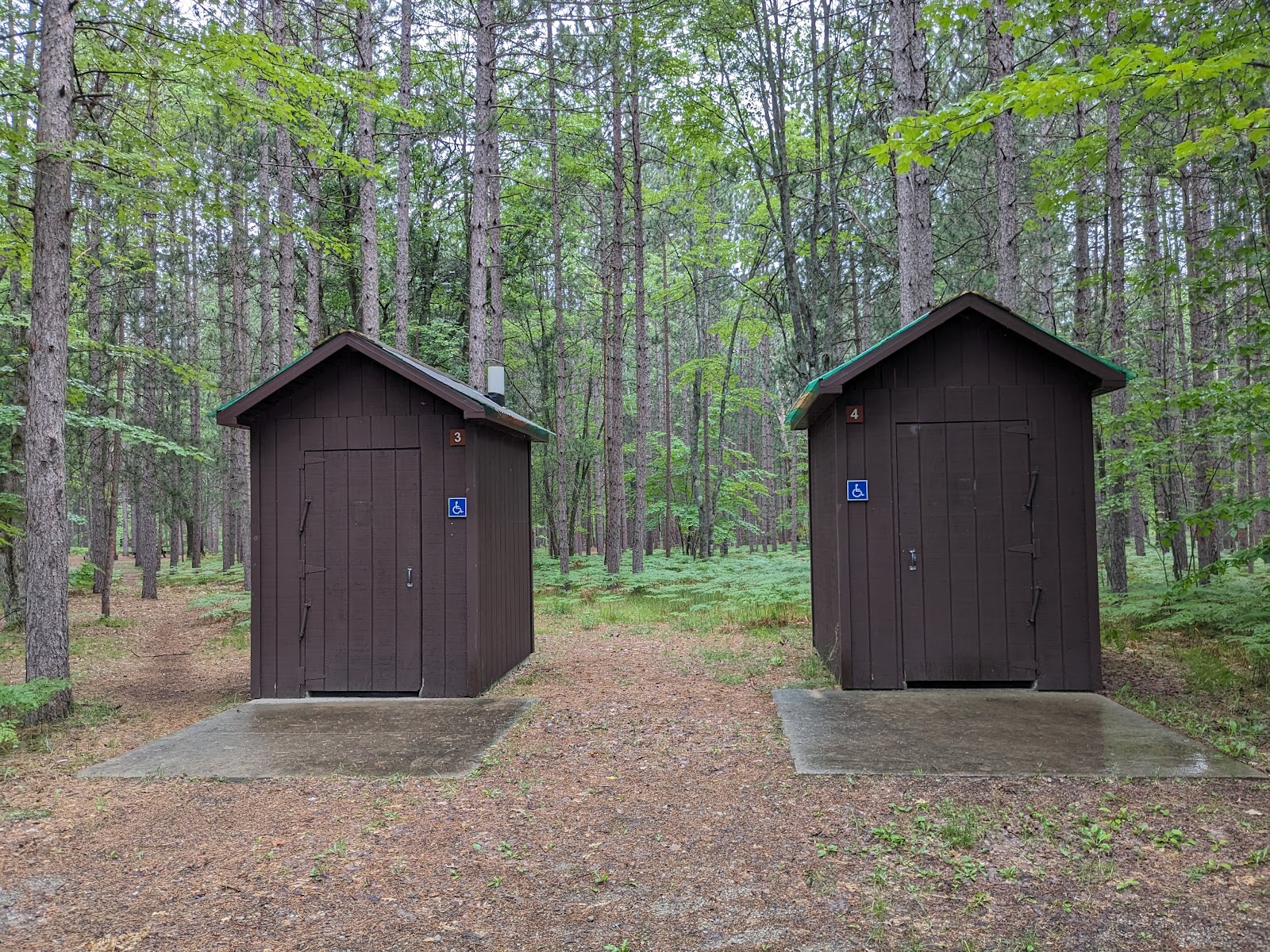 Upper Manistee River SF Campground