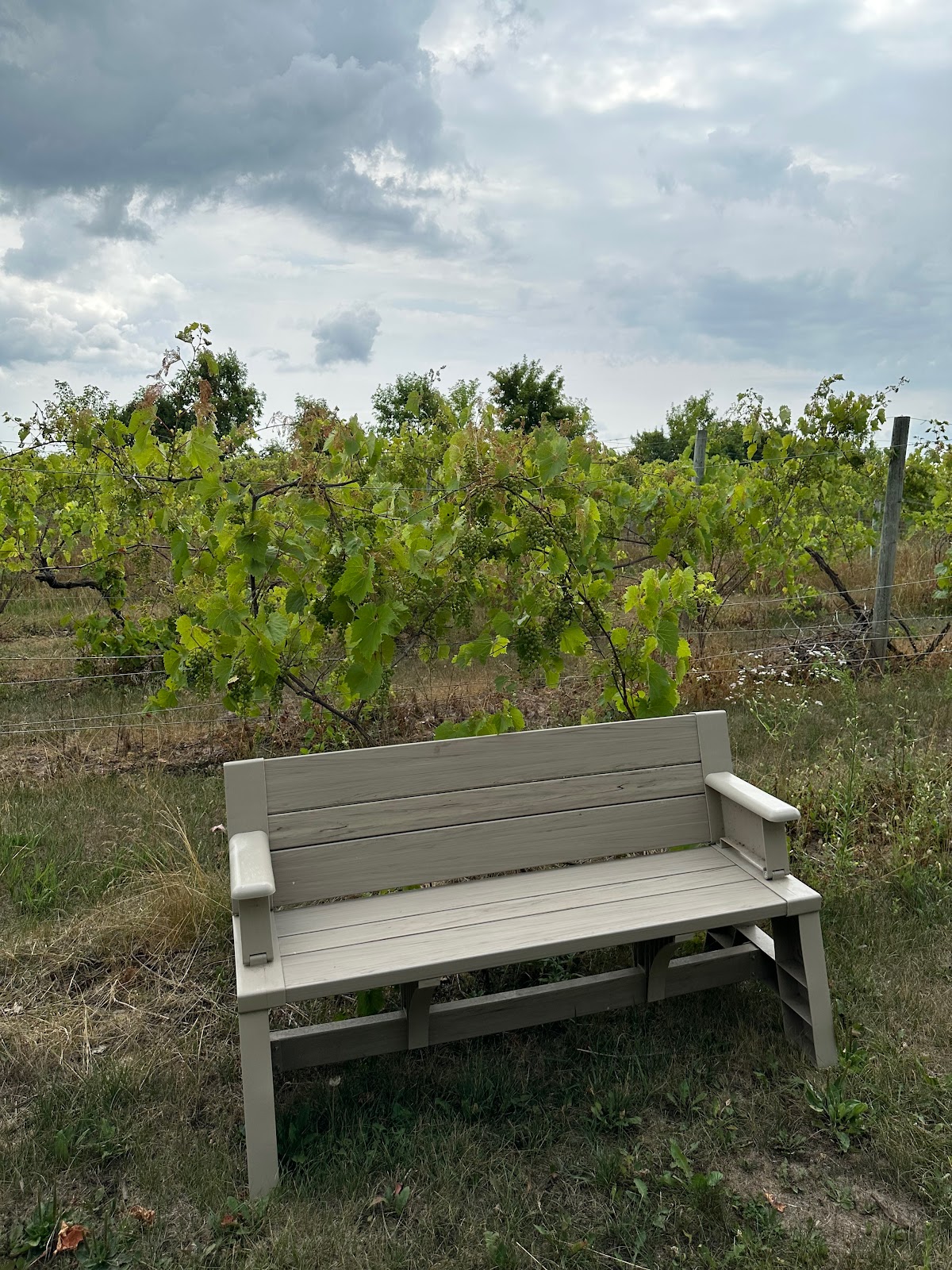 Wildwood RV Park and Campground