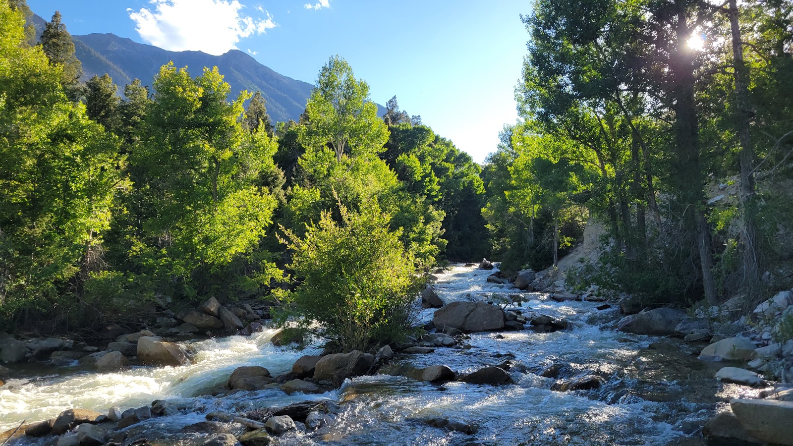 Mount Princeton Campground