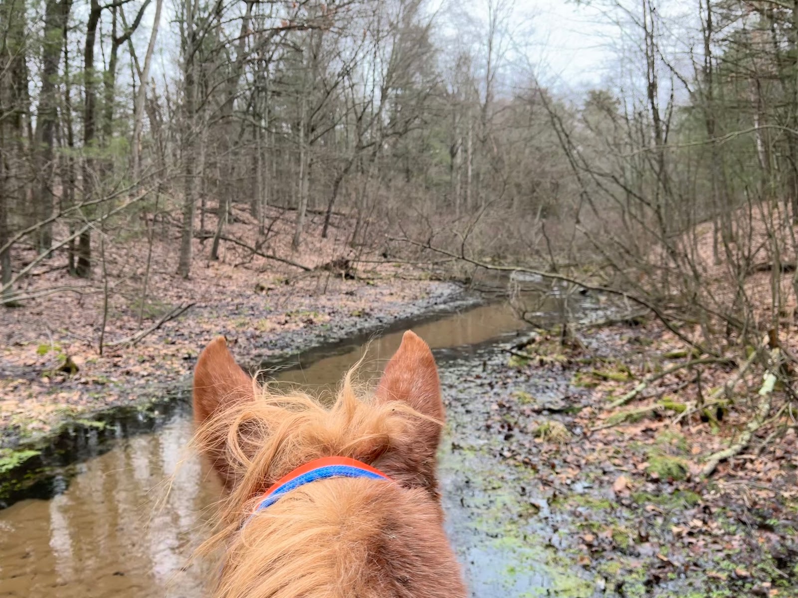 Silver Creek Park and Campground
