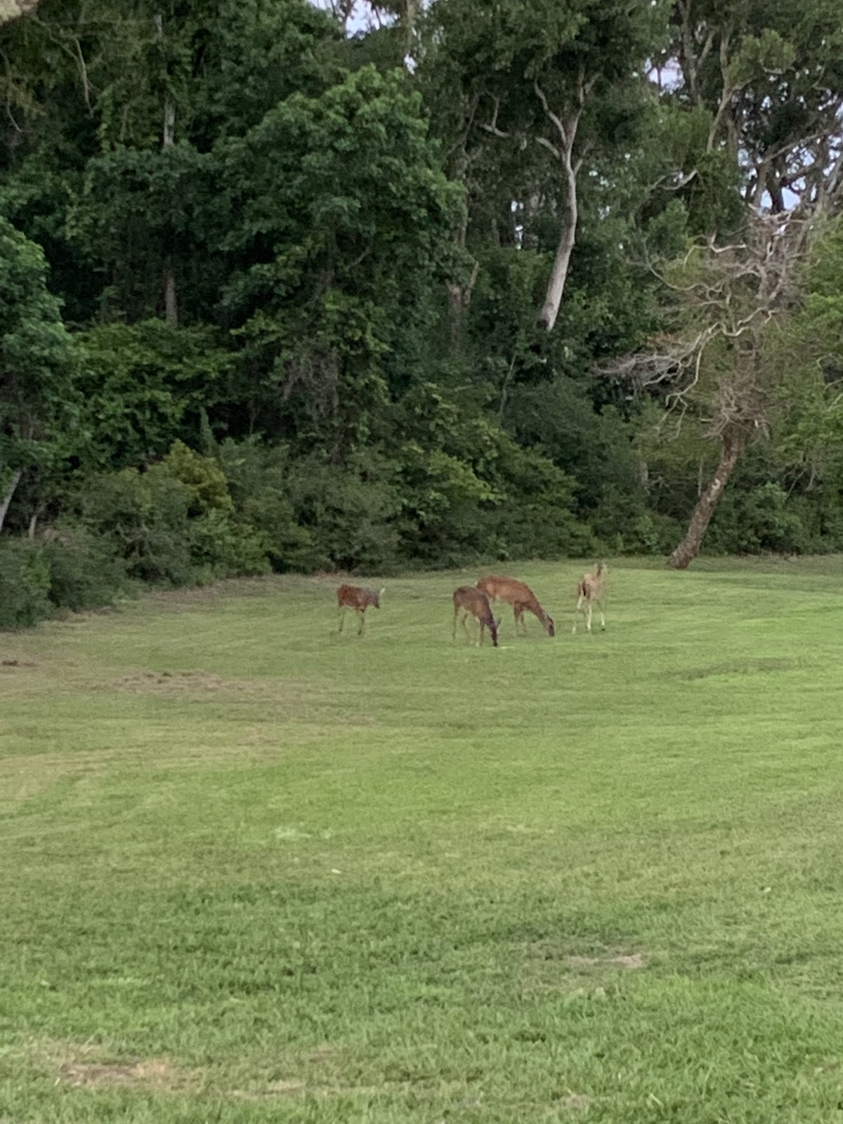Fort Fisher Air Force Rec Area