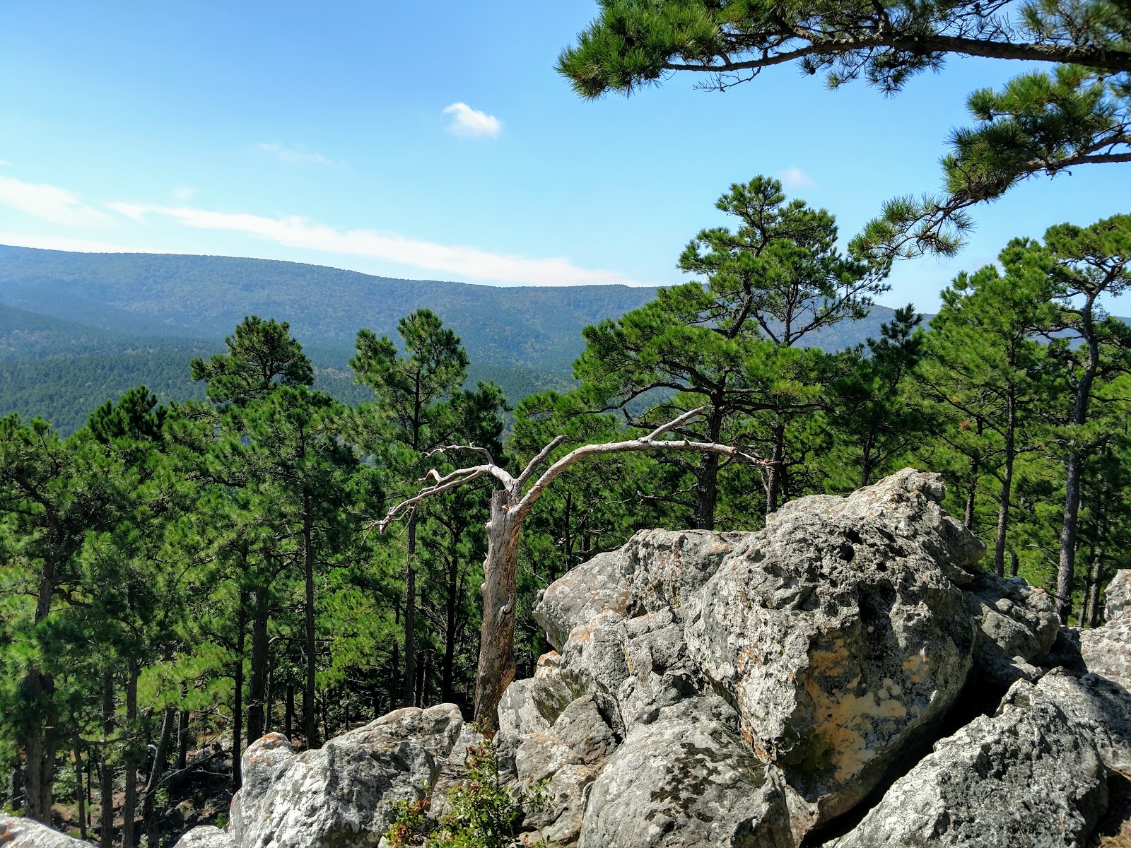Cedar Lake Equestrian Campground