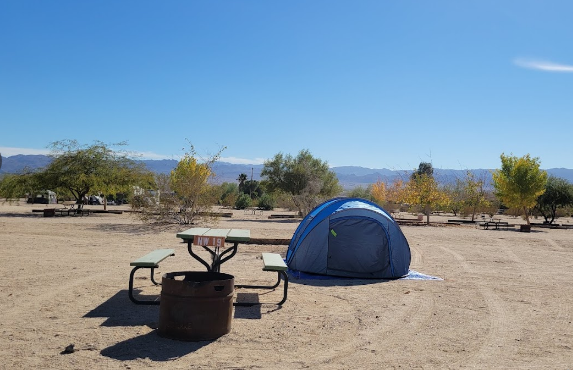 Joshua Tree Lake, RV and Campground
