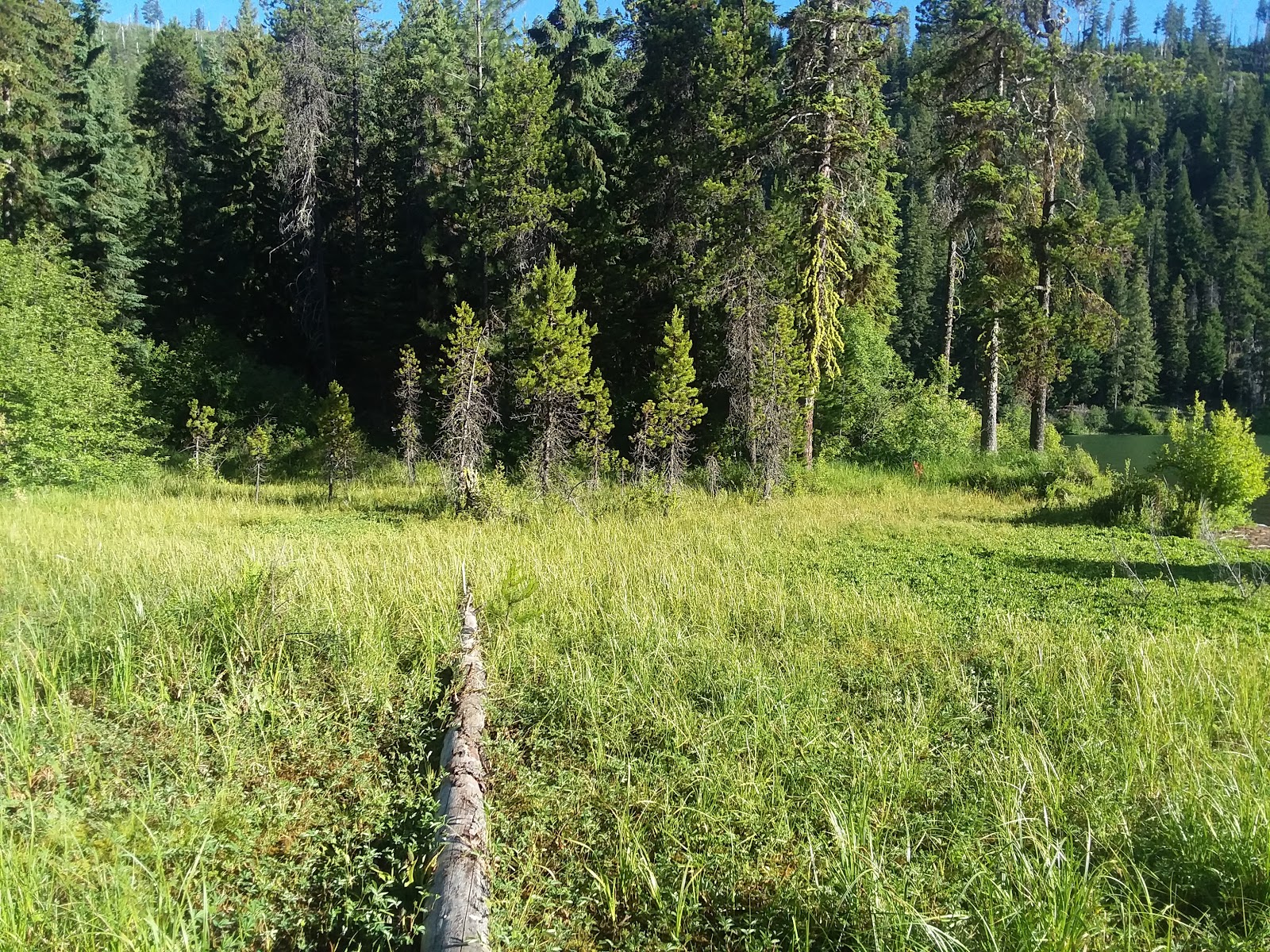 Link Creek Campground