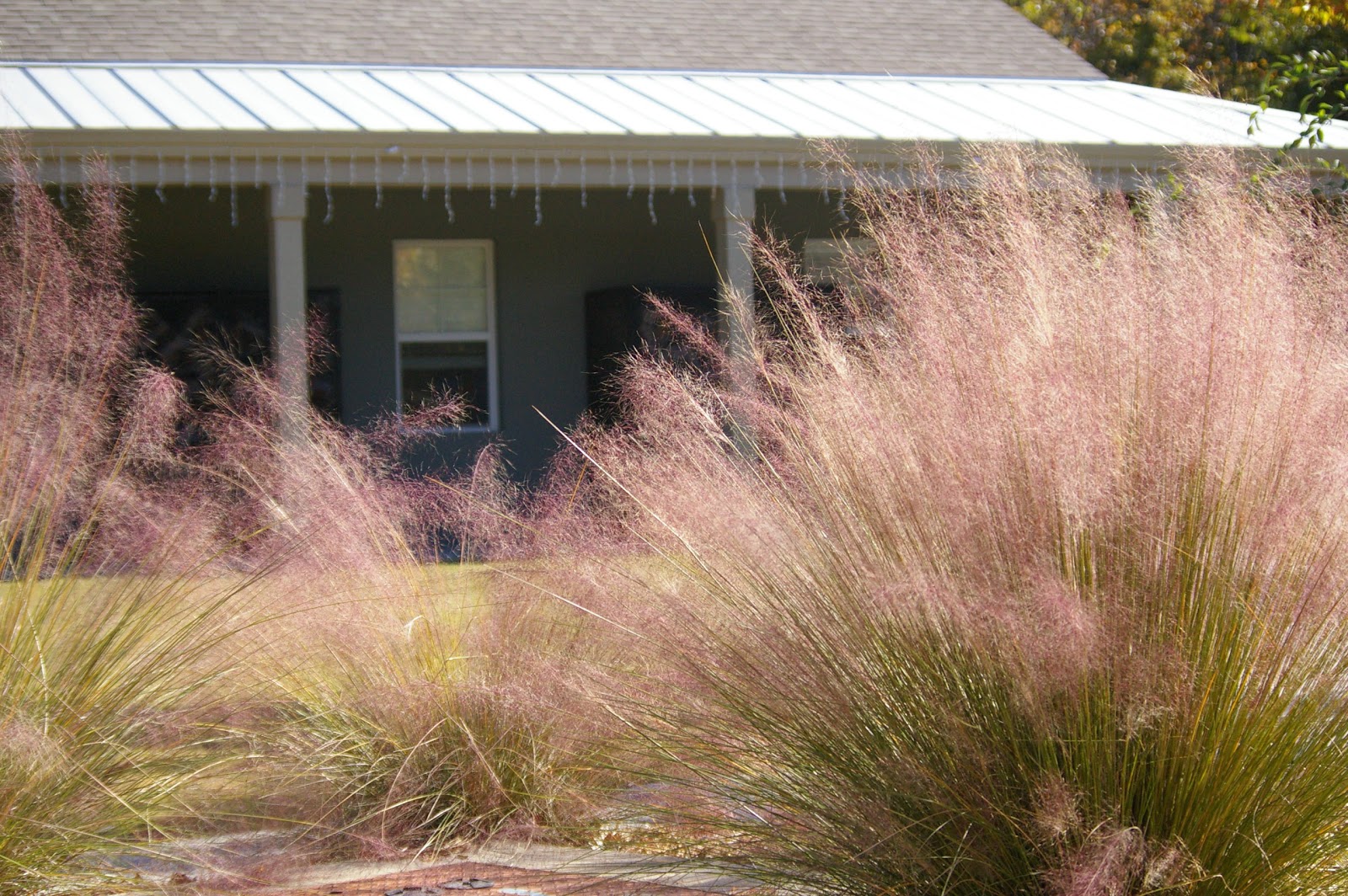 The Campground At James Island County Park