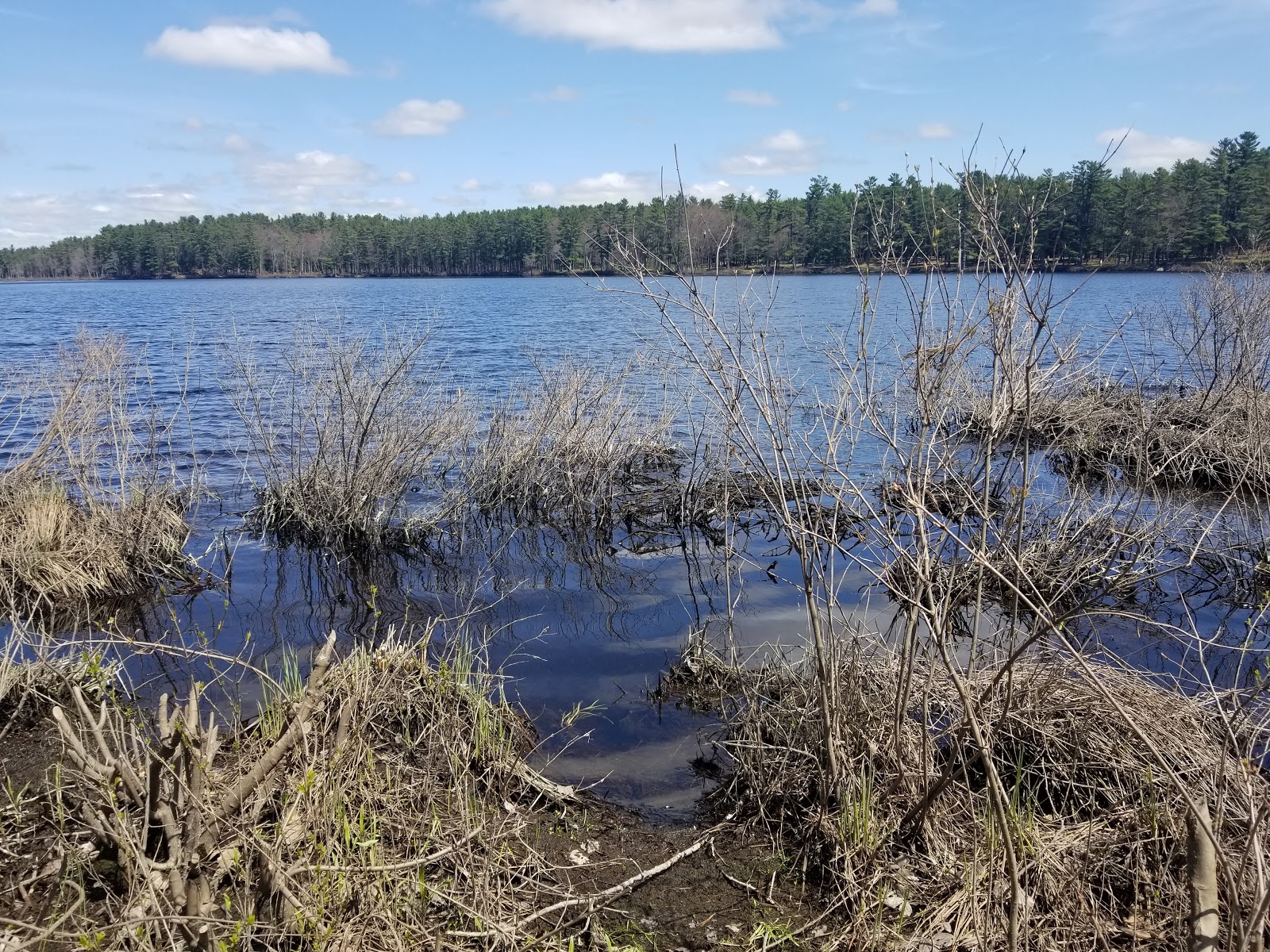 Lake Dennison Recreation Area