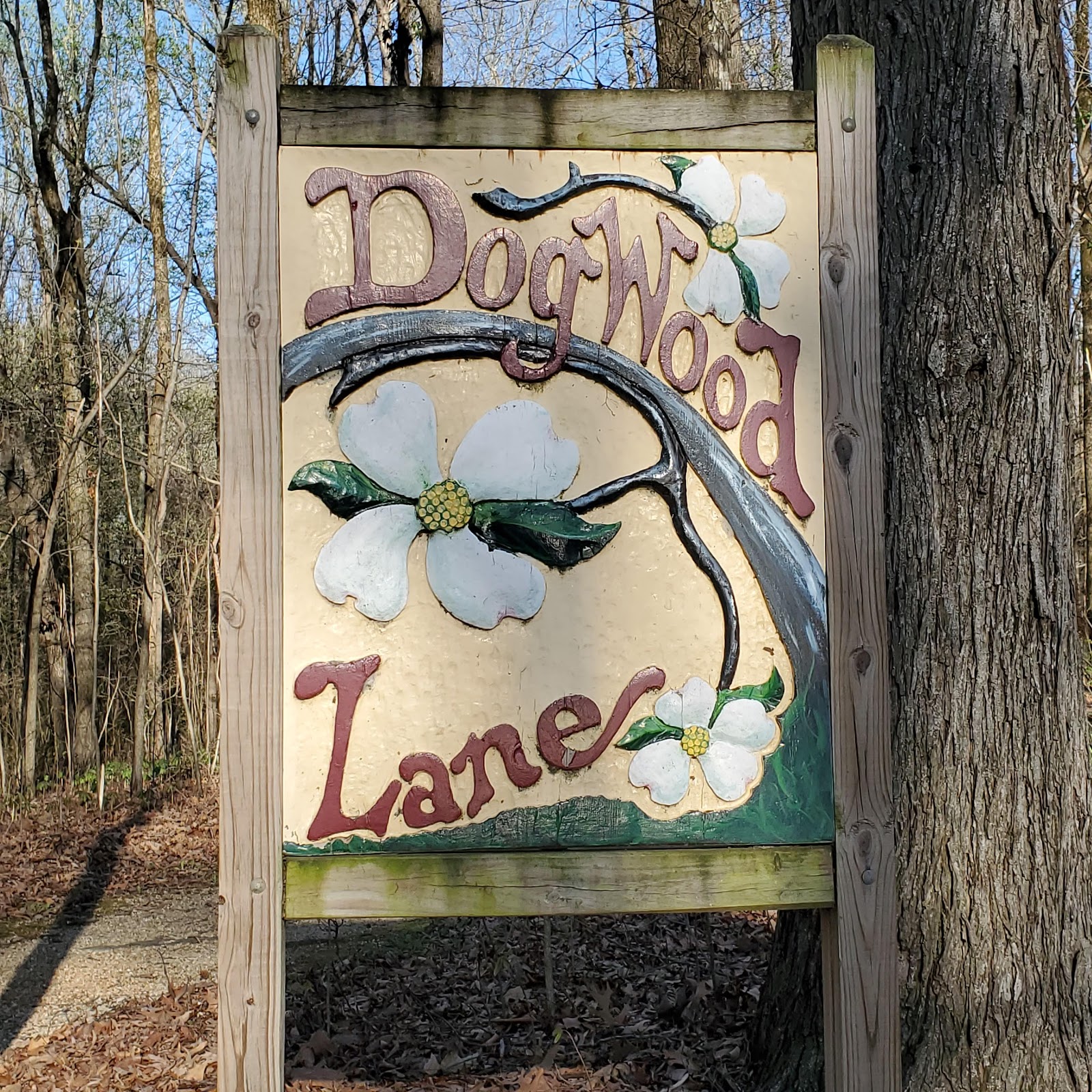 Lake Frierson State Park