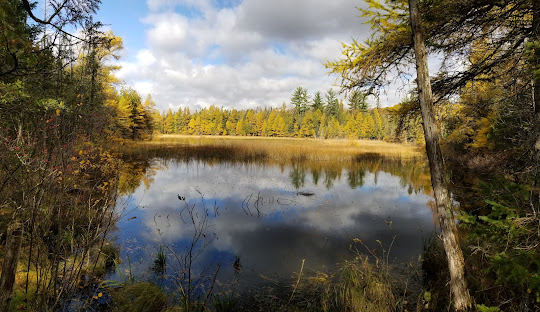 Grousehaven - Rifle River Rec Area