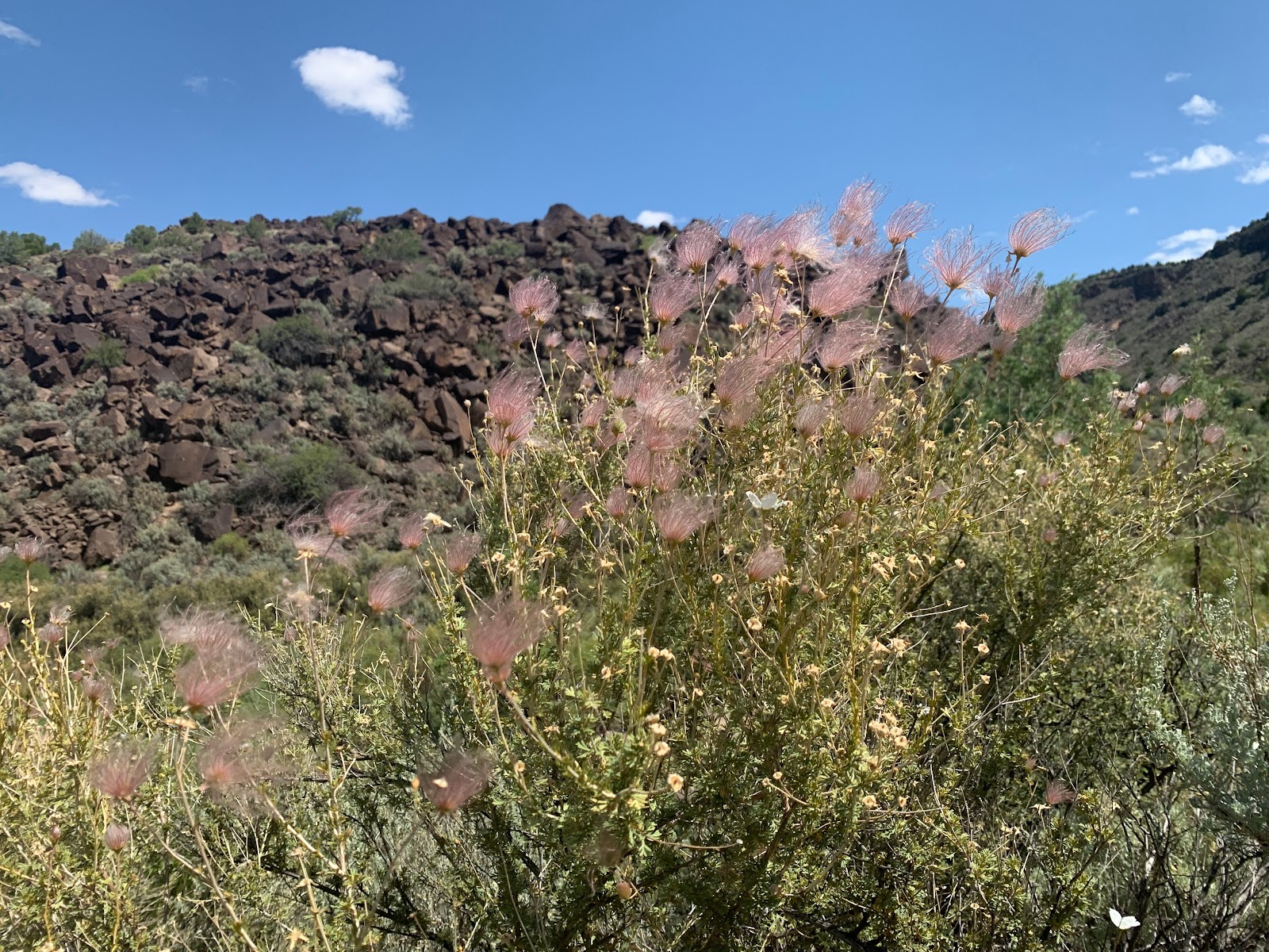 Orilla Verde Recreation Area