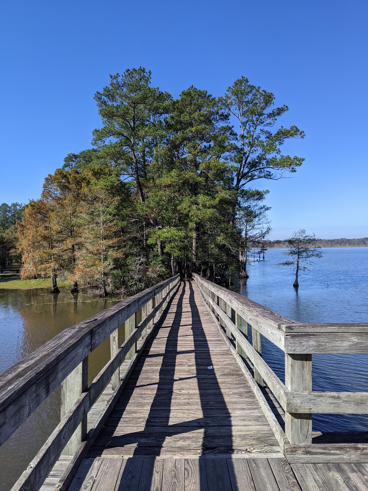 Martin Dies, Jr. State Park