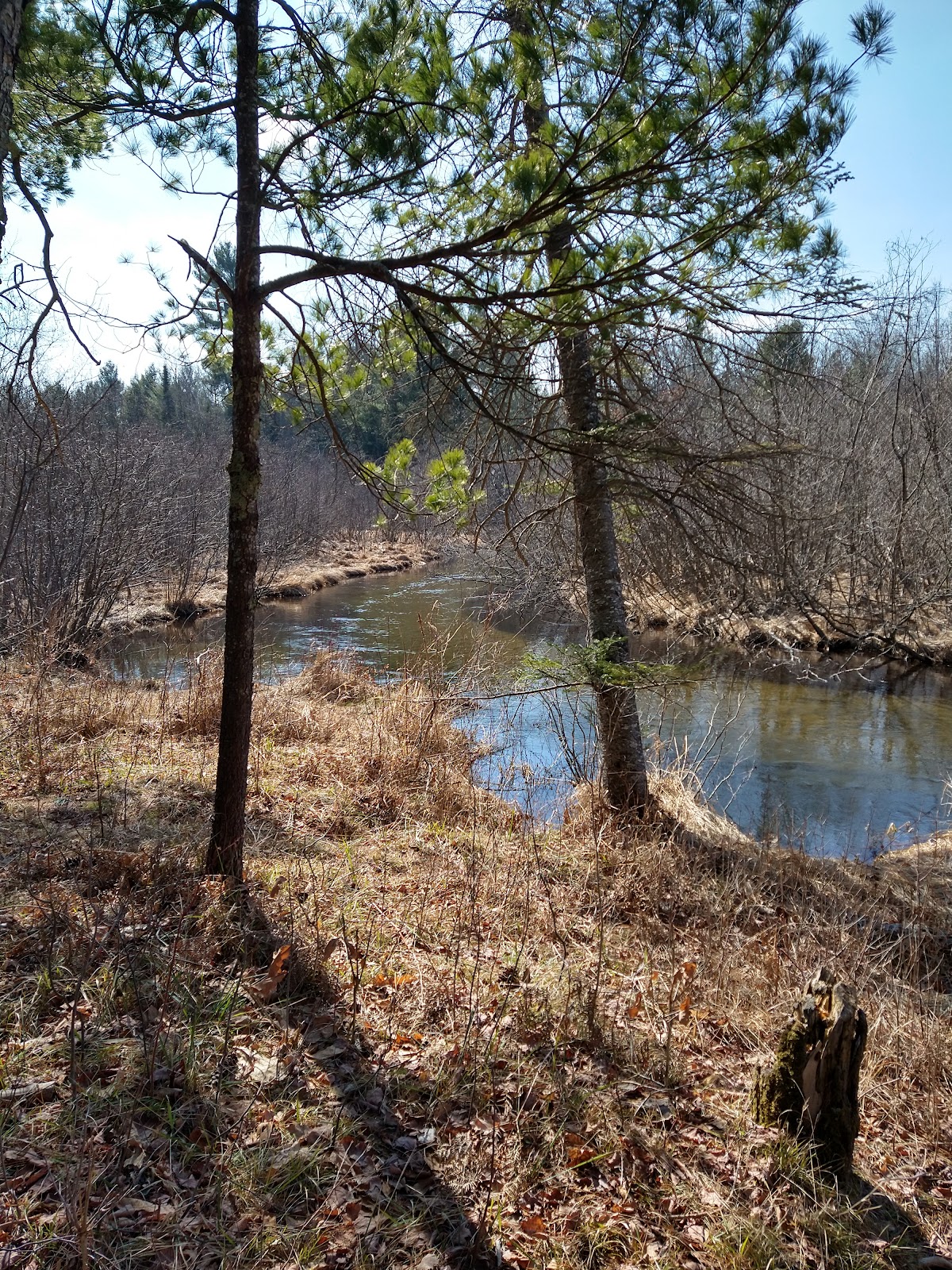 Hopkins Creek SF Campground