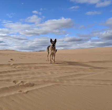 Beaver Dunes State Park