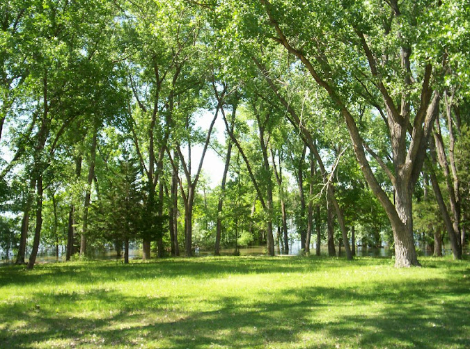 Shady Bay - Medicine Creek SRA