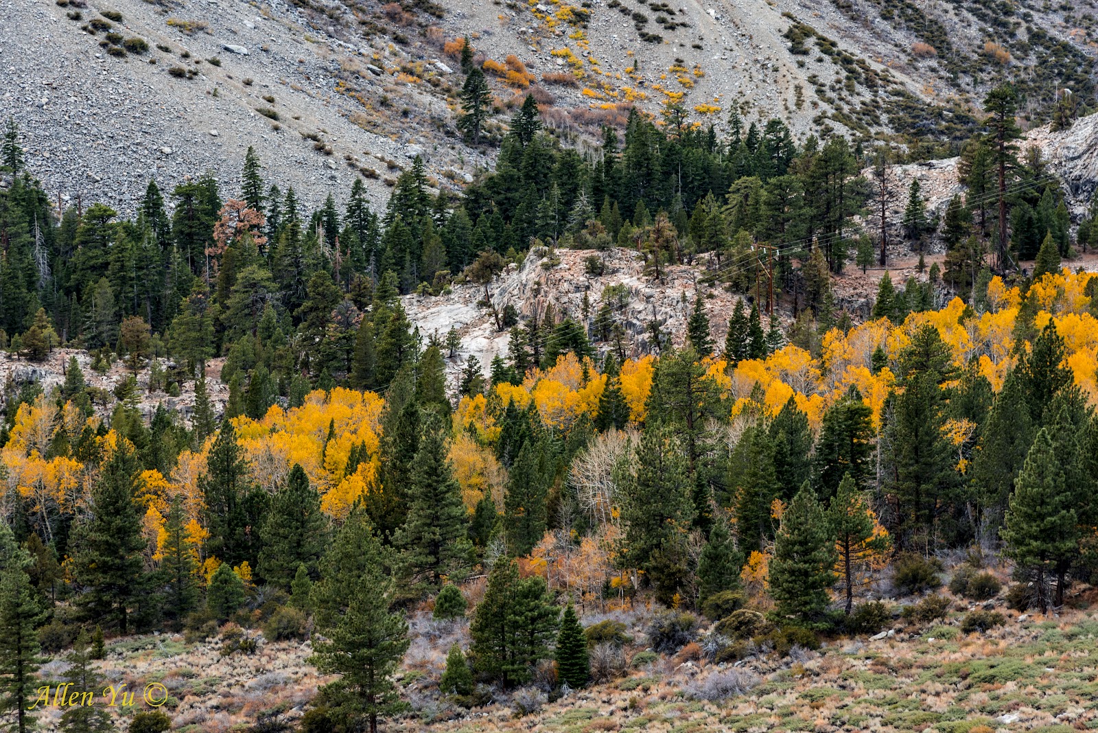 Aspen Grove Campground