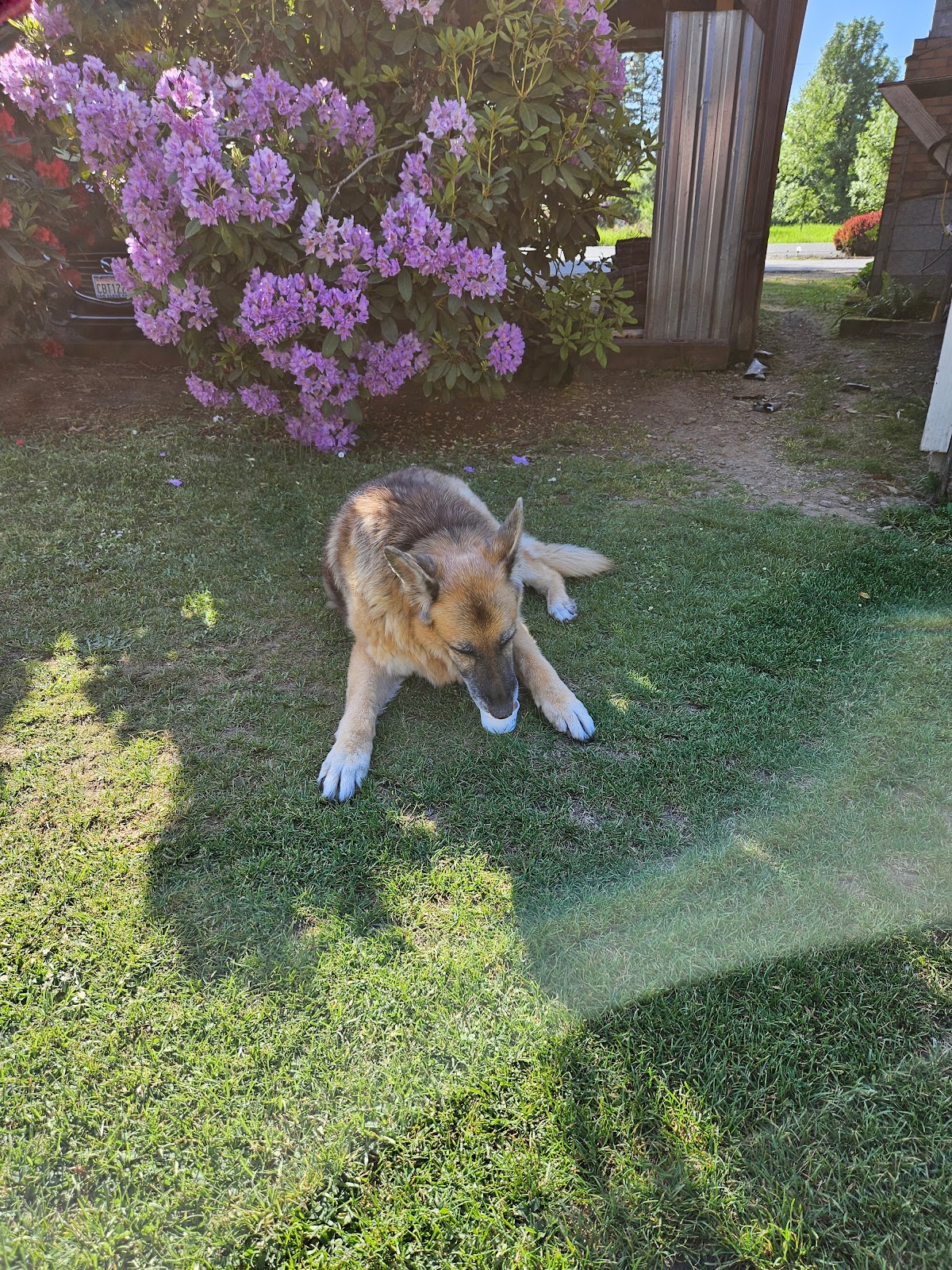 Barrier Dam Campground & Tackle Shop