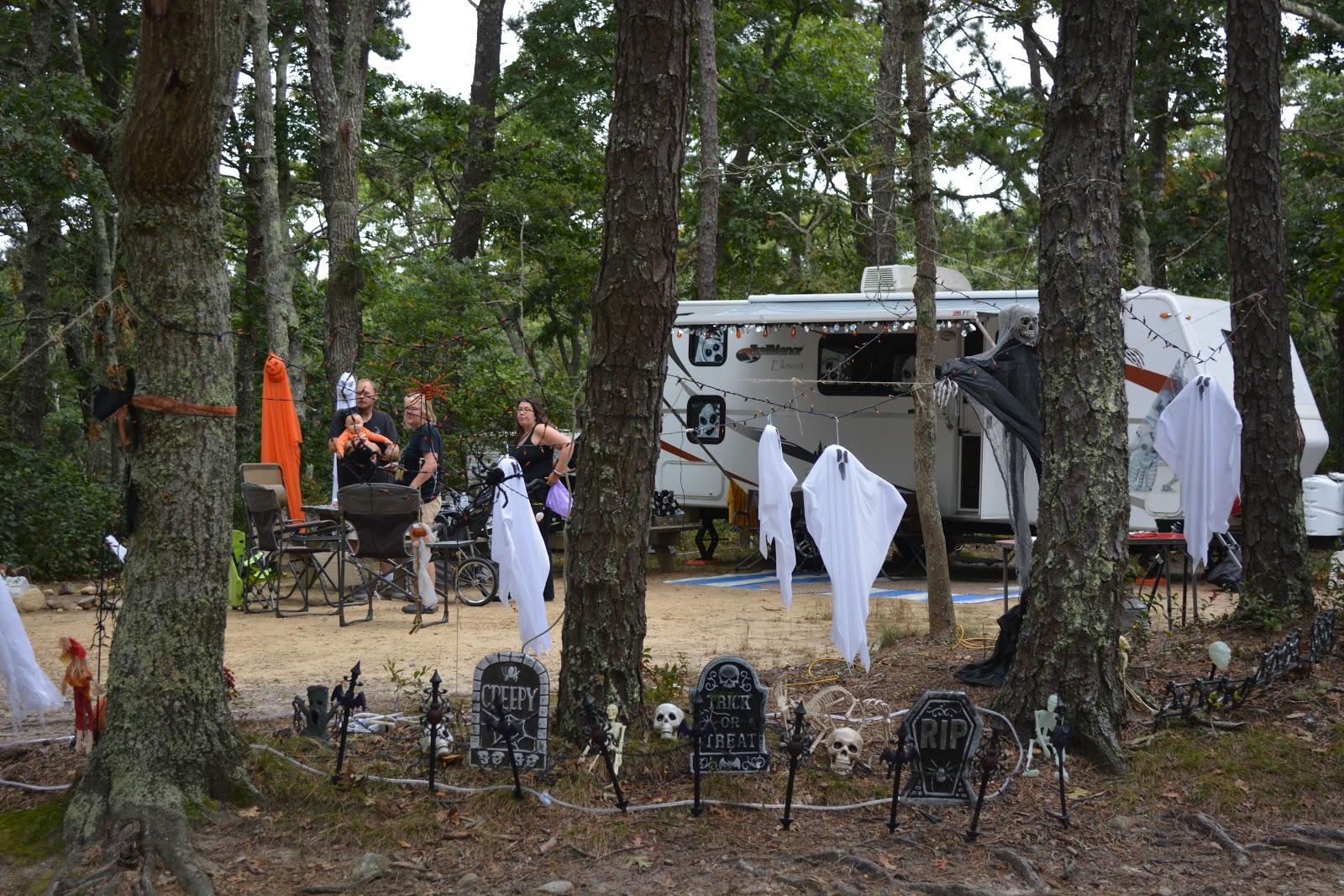 Sweetwater Forest Camping Resort