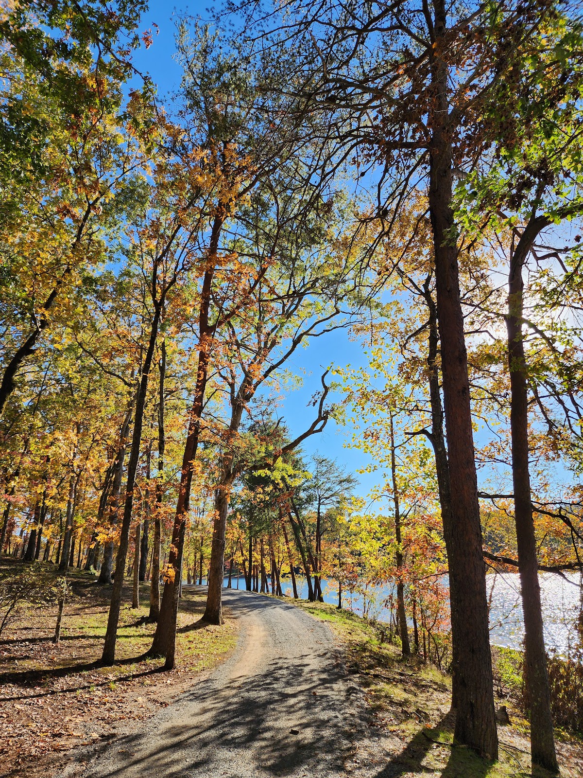 Georgia Mountain Fair Campground