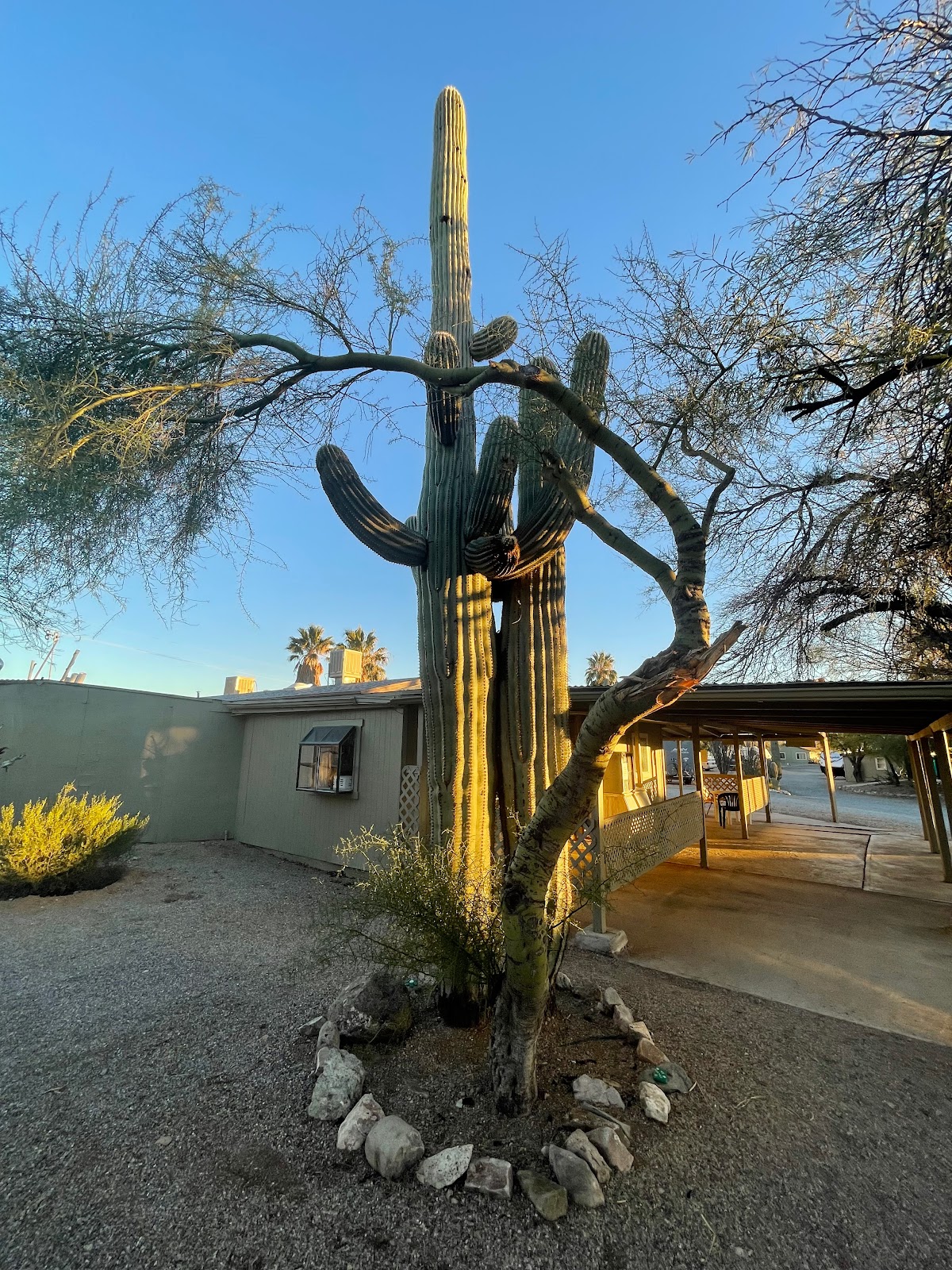 Desert Trails RV Park