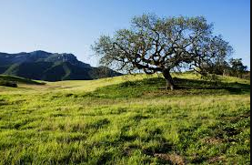 Santa Monica Mountains National Recreation Area