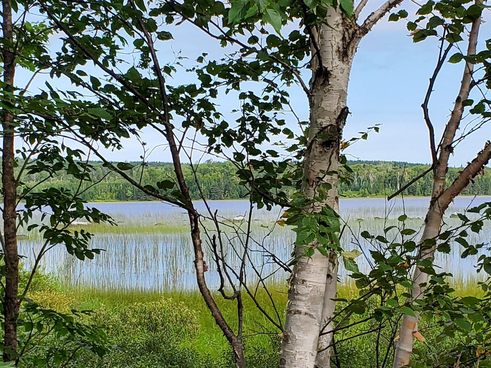 Toohey Lake Rustic Campground