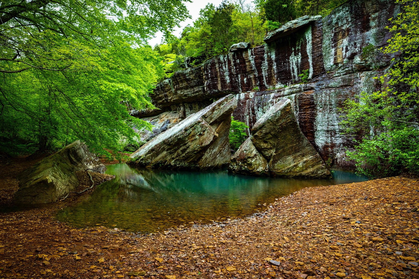 Red Bud - Bell Smith Springs Rec Area
