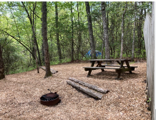 Ash Grove Mountain Cabins & Camping