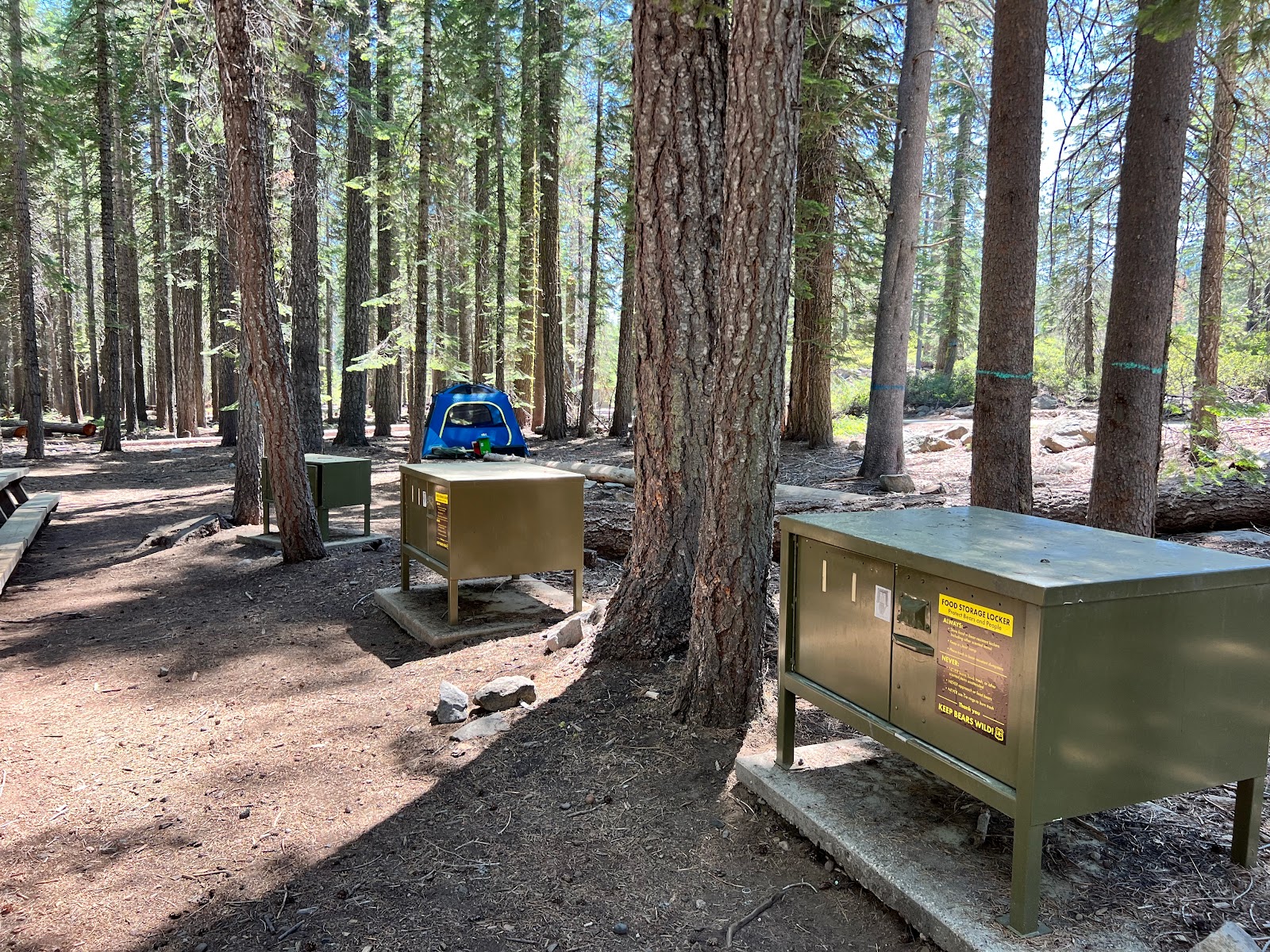 Coyote Group Campground
