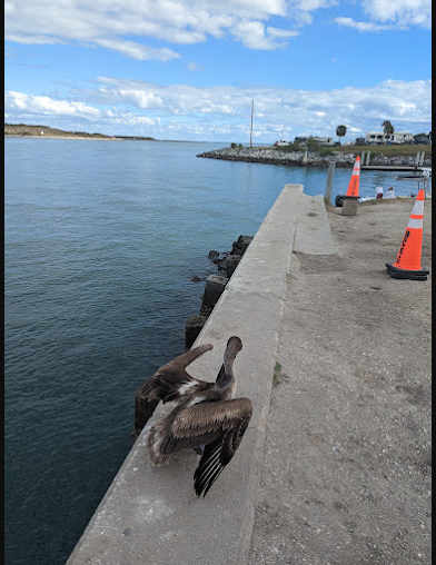 Jetty Park Campground