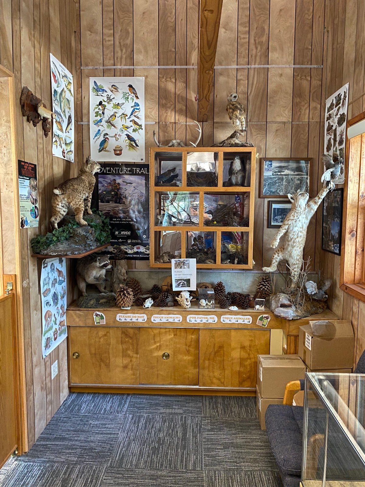 San Gorgonio Campground