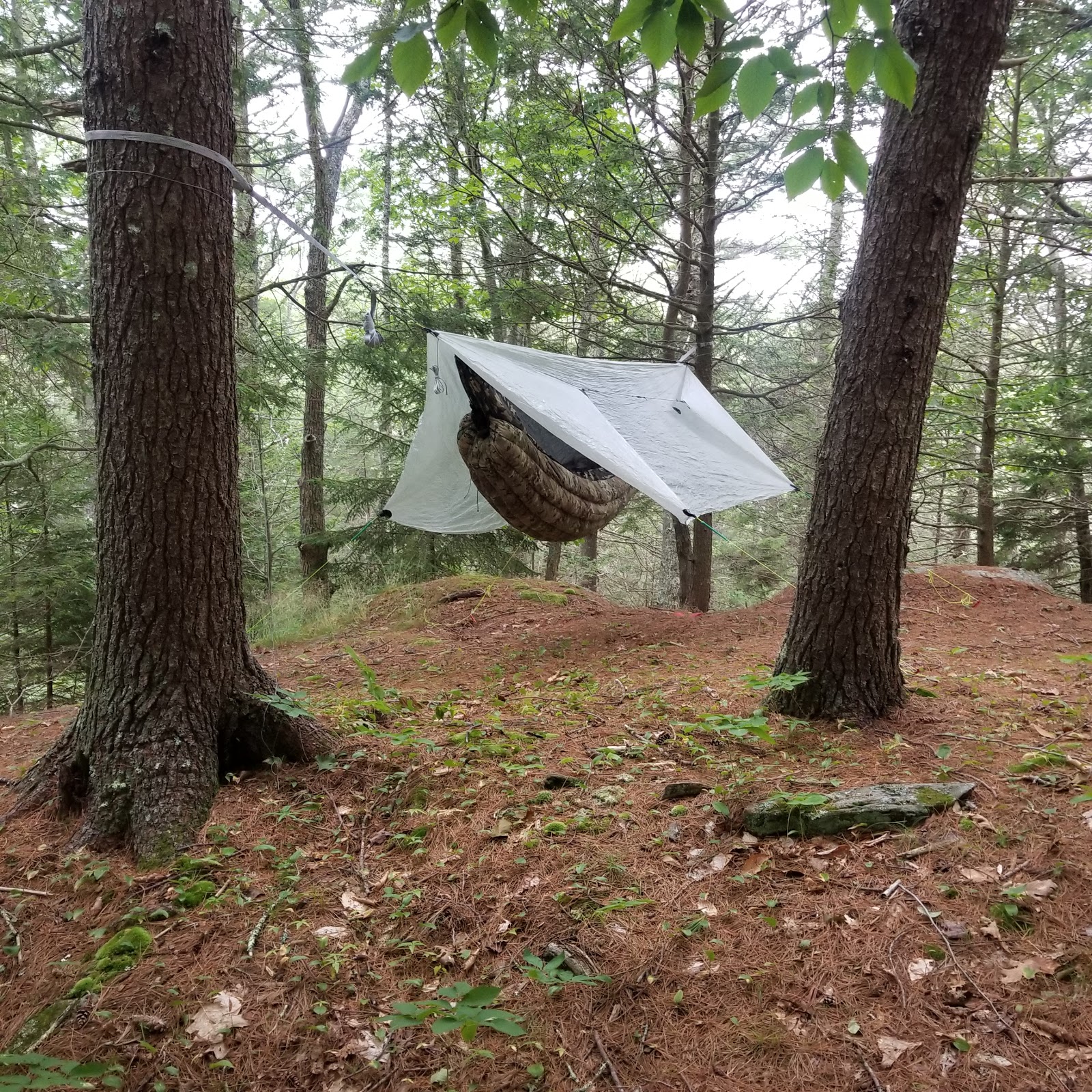 Meadowbrook Camping Area