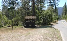 Forks Campground