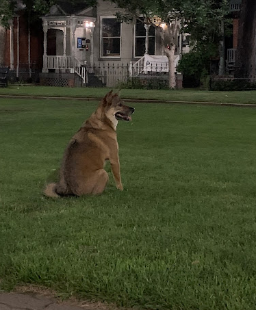 9th Street Historic Park