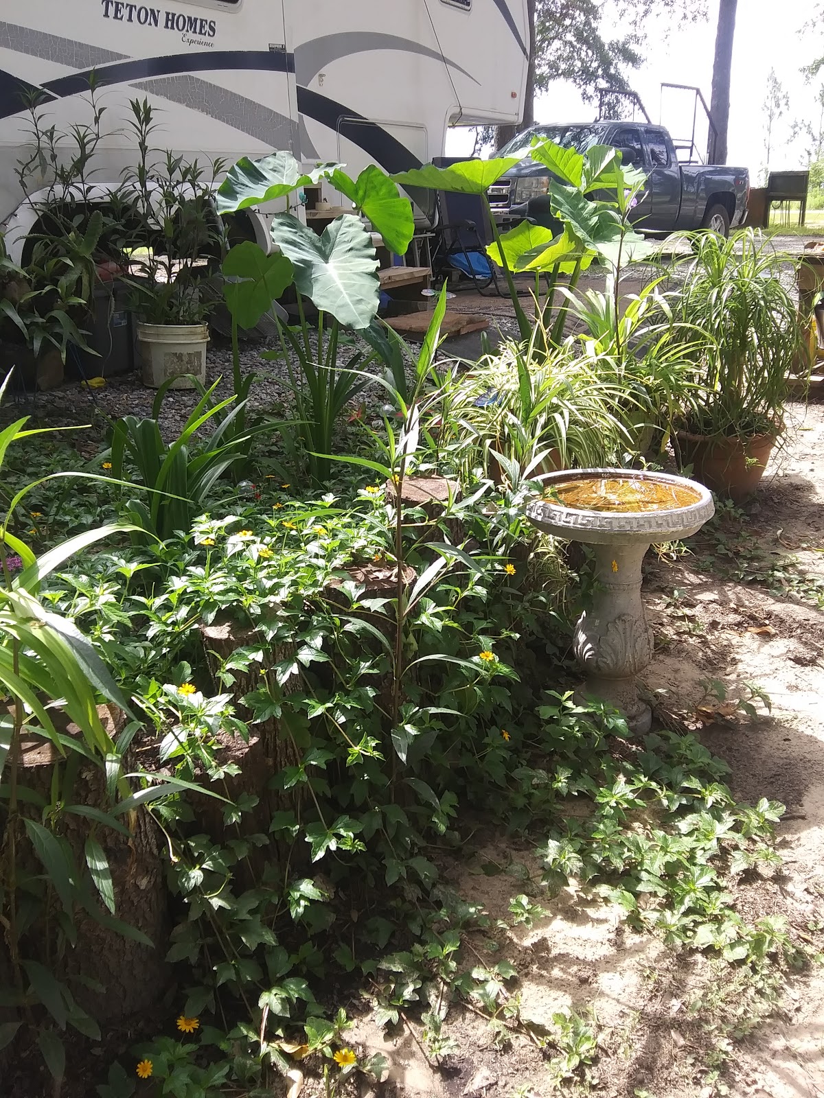 Creekside Plantation RV Campground