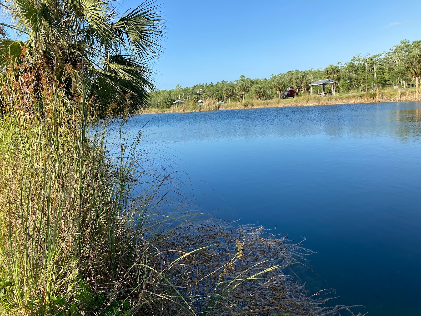 Midway - Big Cypress National