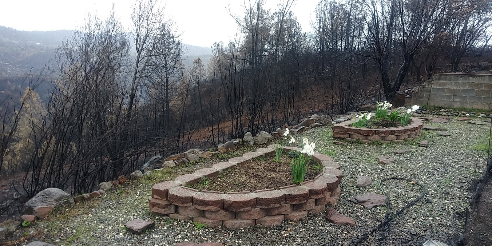 Quail Trails Village