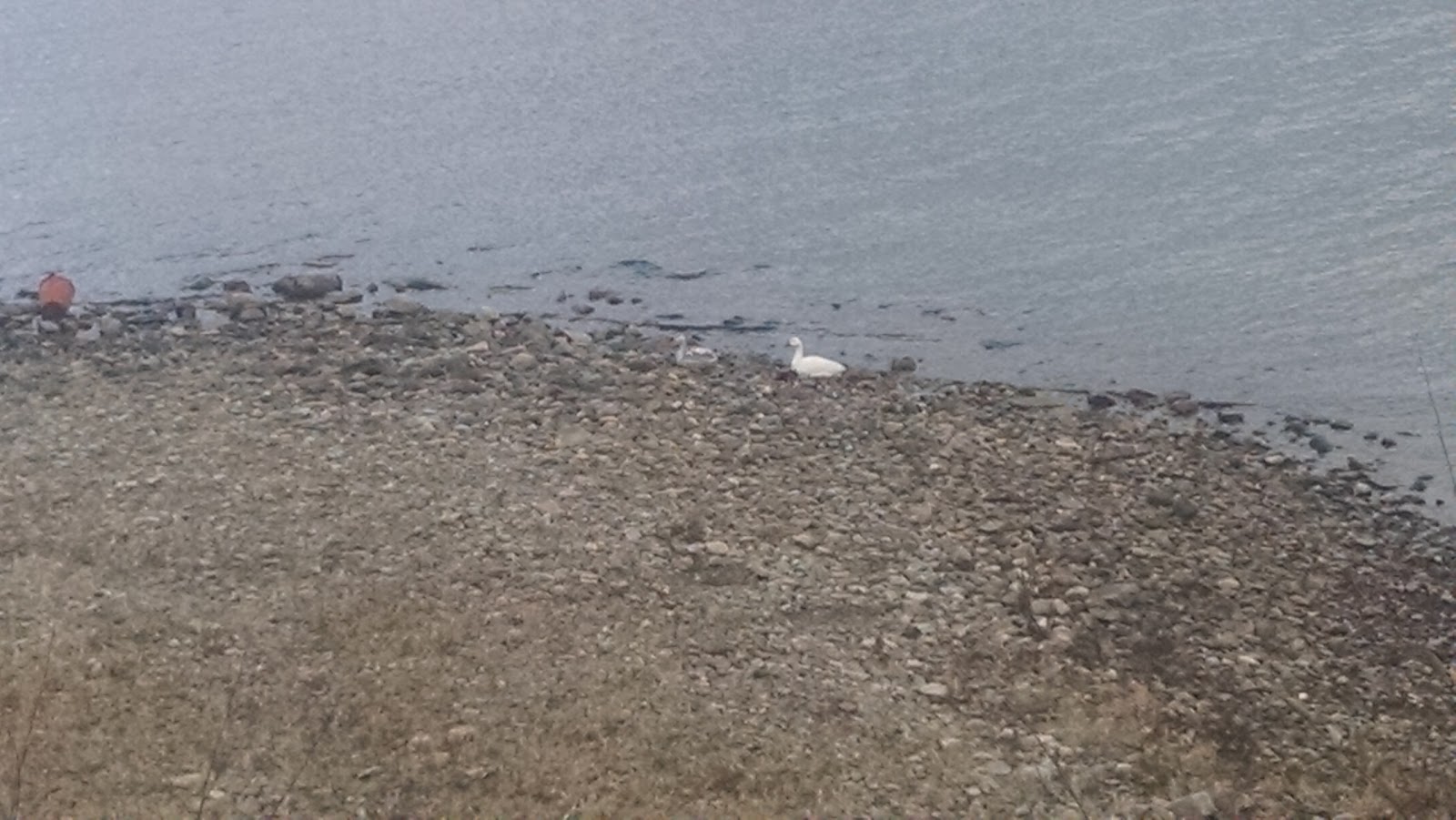 Lakeside Trailer Park